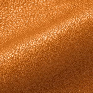 leather-ecru